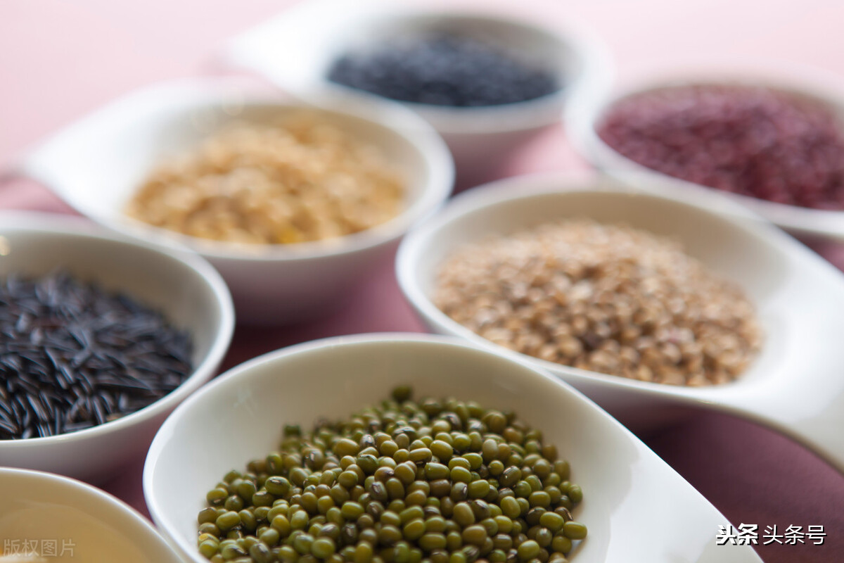 适合农村小型养殖的致富项目,农村快速致富冷门项目推荐一下