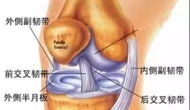 膝盖内侧副韧带损伤总是疼怎么办,膝盖内侧副韧带扭伤怎么处理