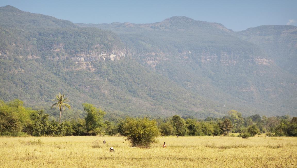 来自西双版纳的老挝冰咖啡,秋天的第一杯咖啡星巴克