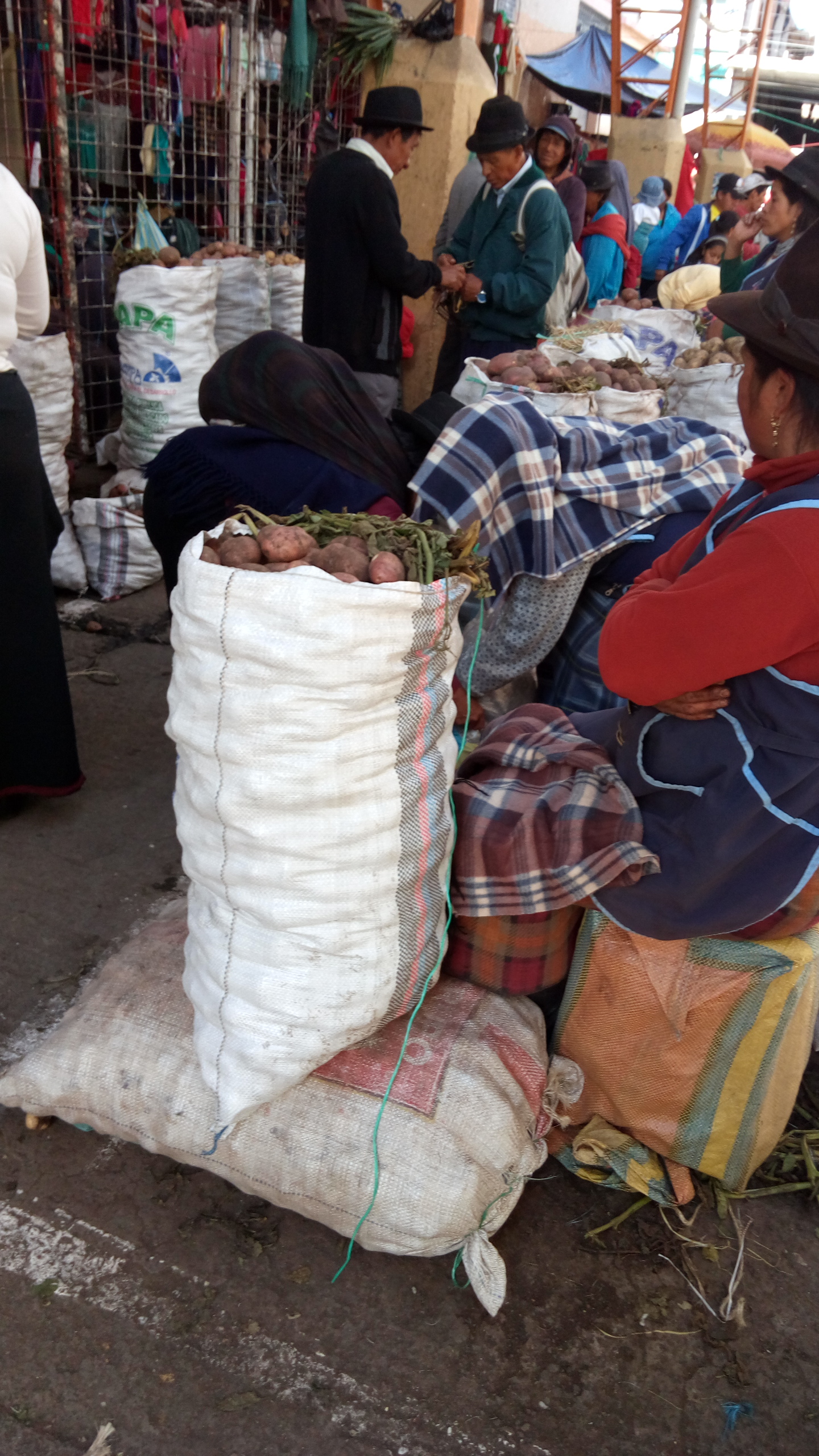 那年我在南美洲厄瓜多尔逛农贸市场，看到蔬果是按只按堆按袋计价