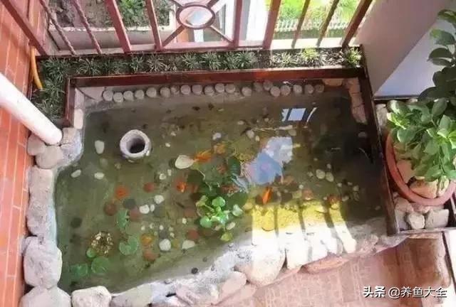 养鱼的硝化系统,养鱼必备硝化菌