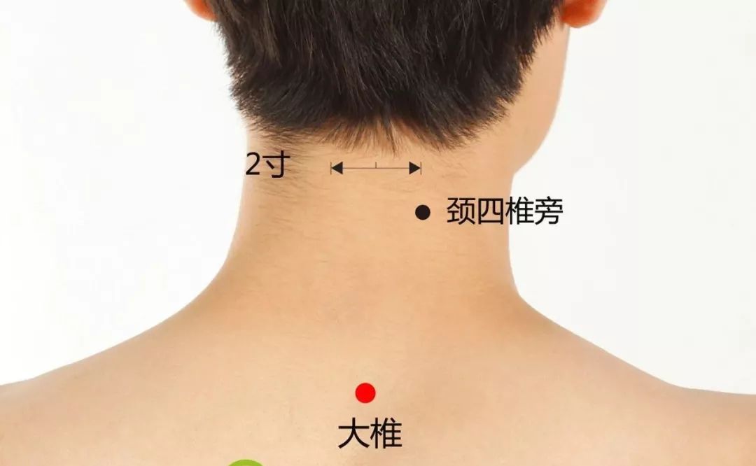 小寒要努力生活,小寒要干什么