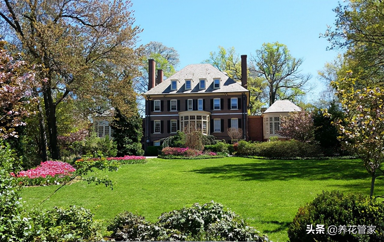 花园一年四季绿植种植大全,花园草地打理