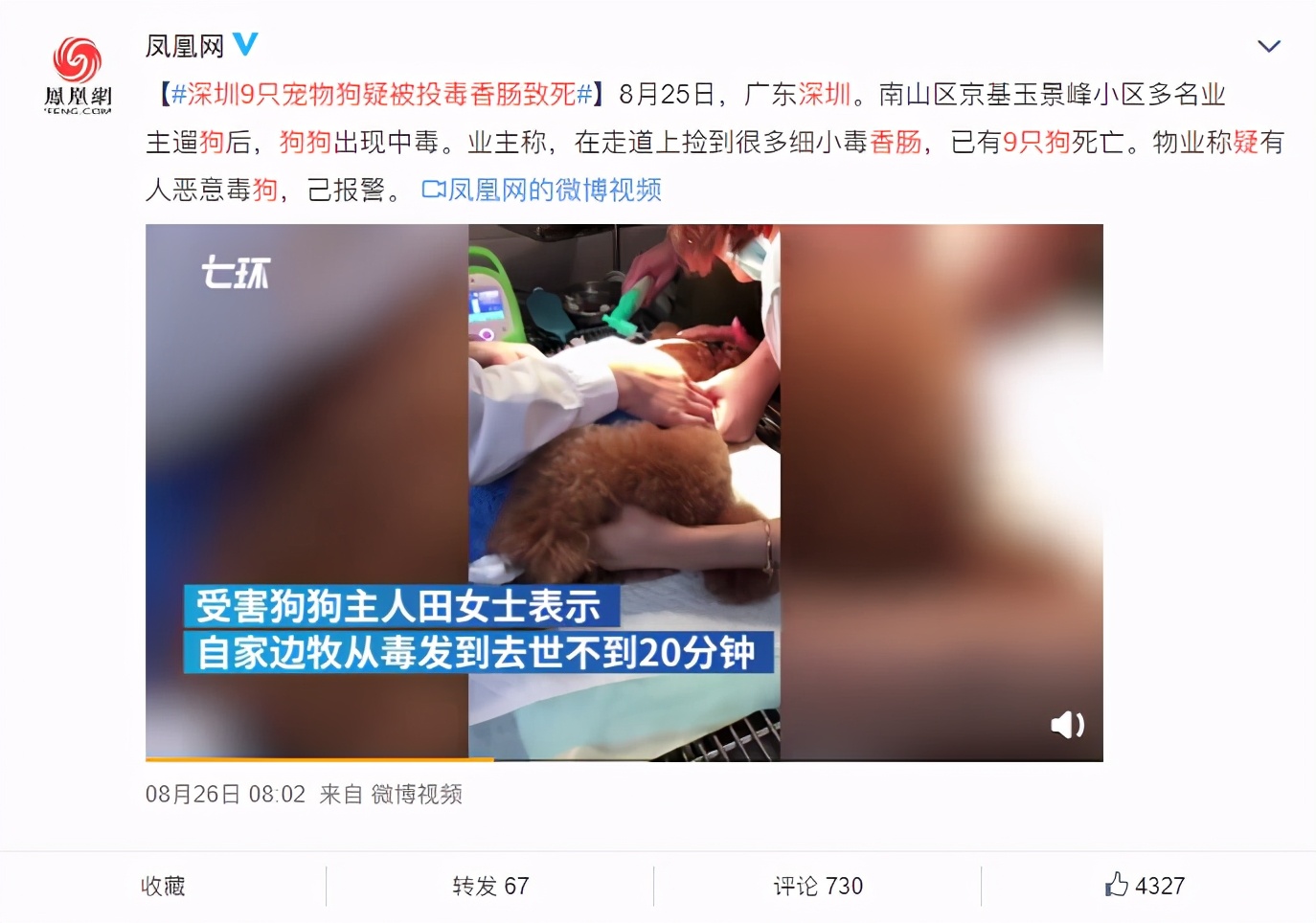 狗吃了毒香肠多久发作,狗误食毒香肠