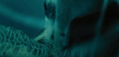 富二代晒骨皮包的残忍真相,富二代晒人骨皮包的残忍真相