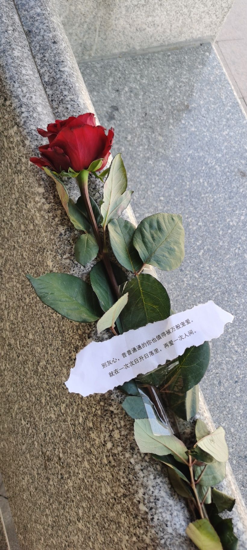 情商不高的星座,天才级别的三大星座智商情商双高