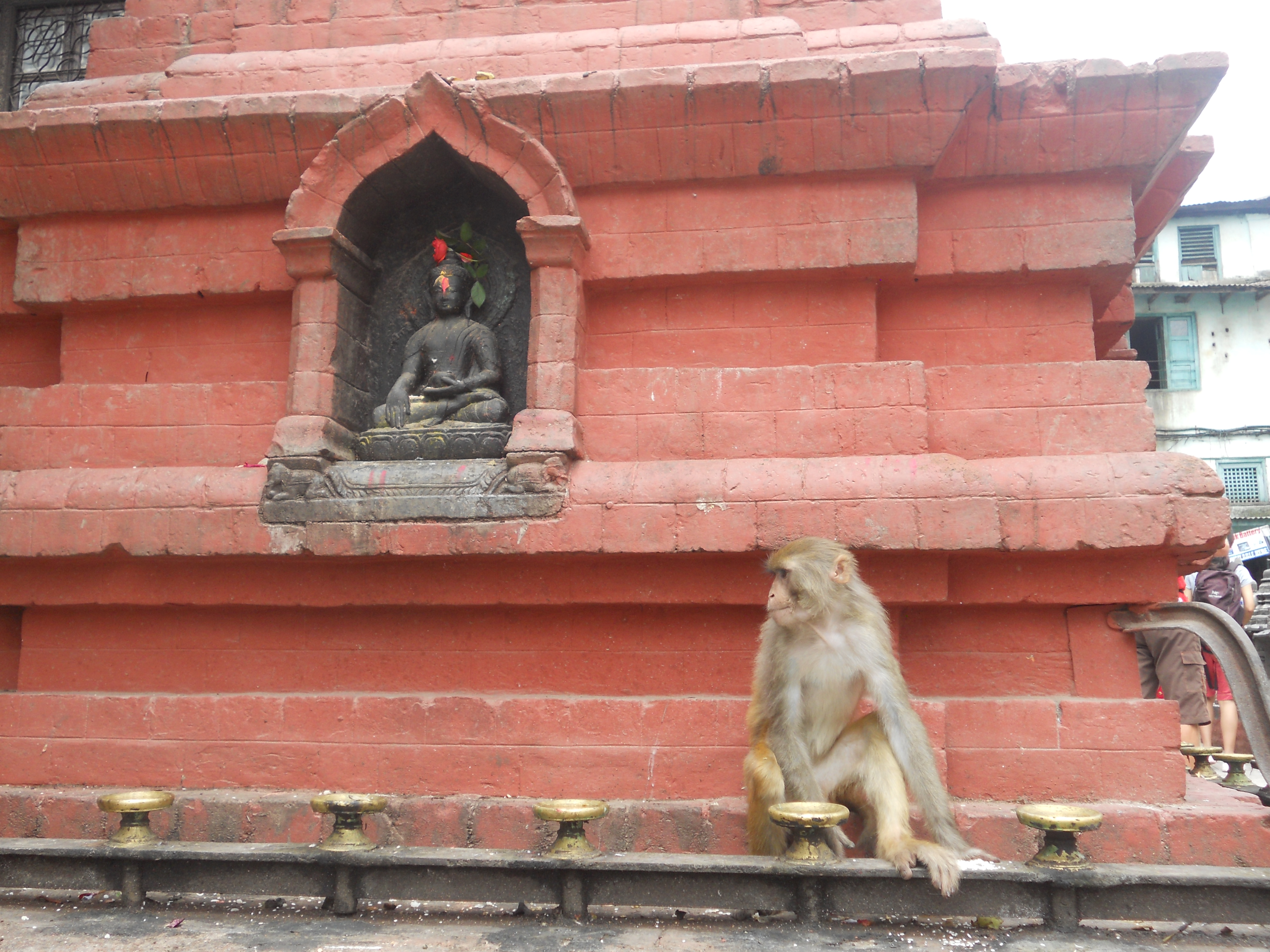 中国的后花园是指哪里,尼泊尔之游