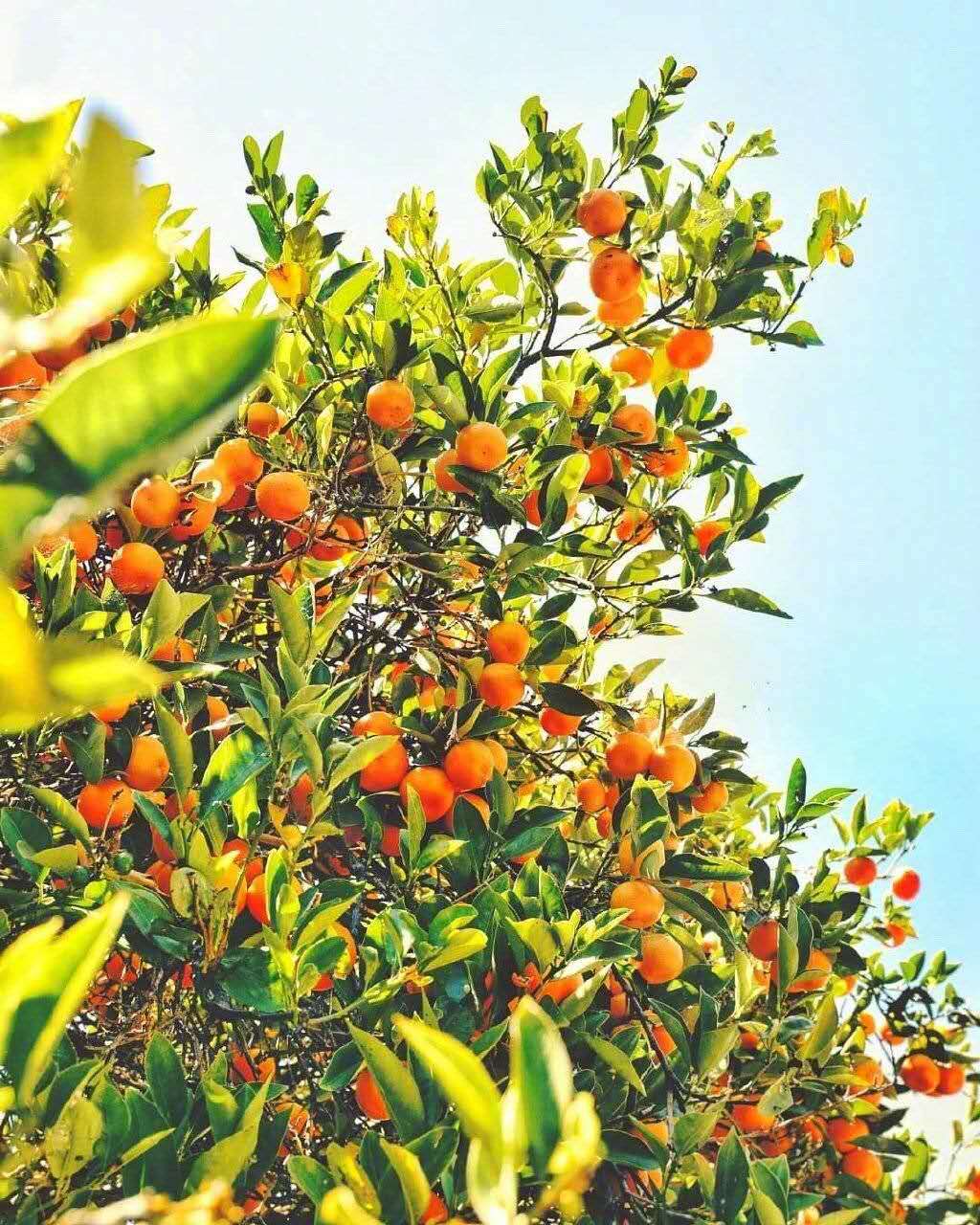 表面和谐的婚姻,婚姻和谐的基础是什么