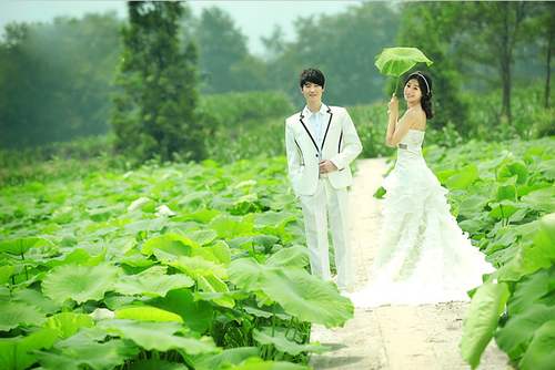 马惊飙莲荷主题诗作小辑