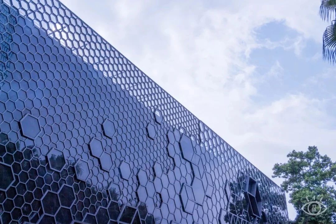 深圳龙华适合小孩子玩的免费景点,深圳适合一日游好玩的地方推荐