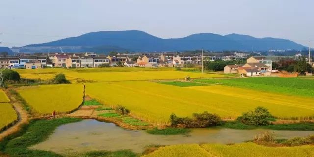 农产品打造优质品牌,农产品品牌打造与推广