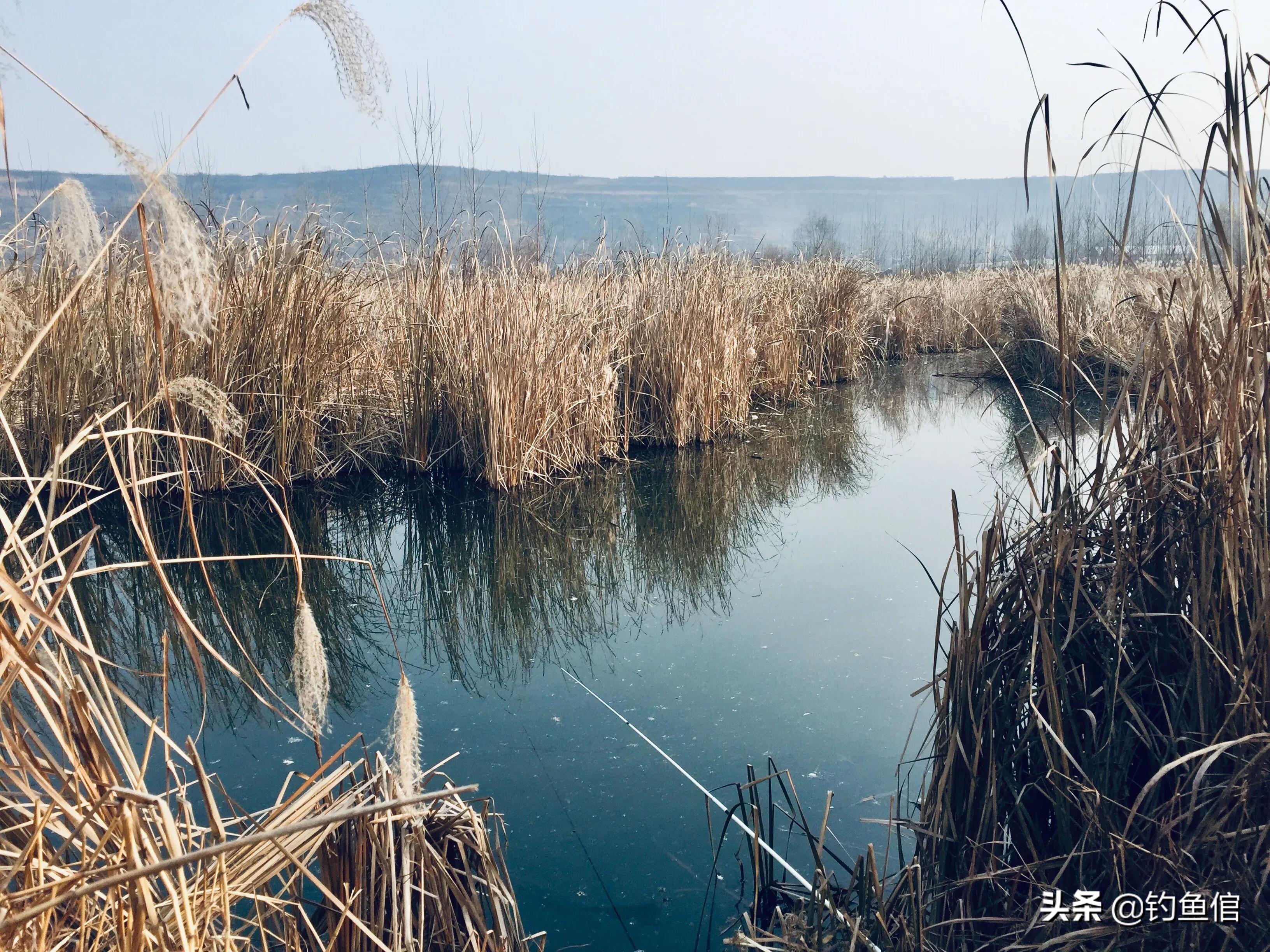 冬天野钓鱼不开口怎么办最有效,冬季鱼不开口的解决方法怎么配料
