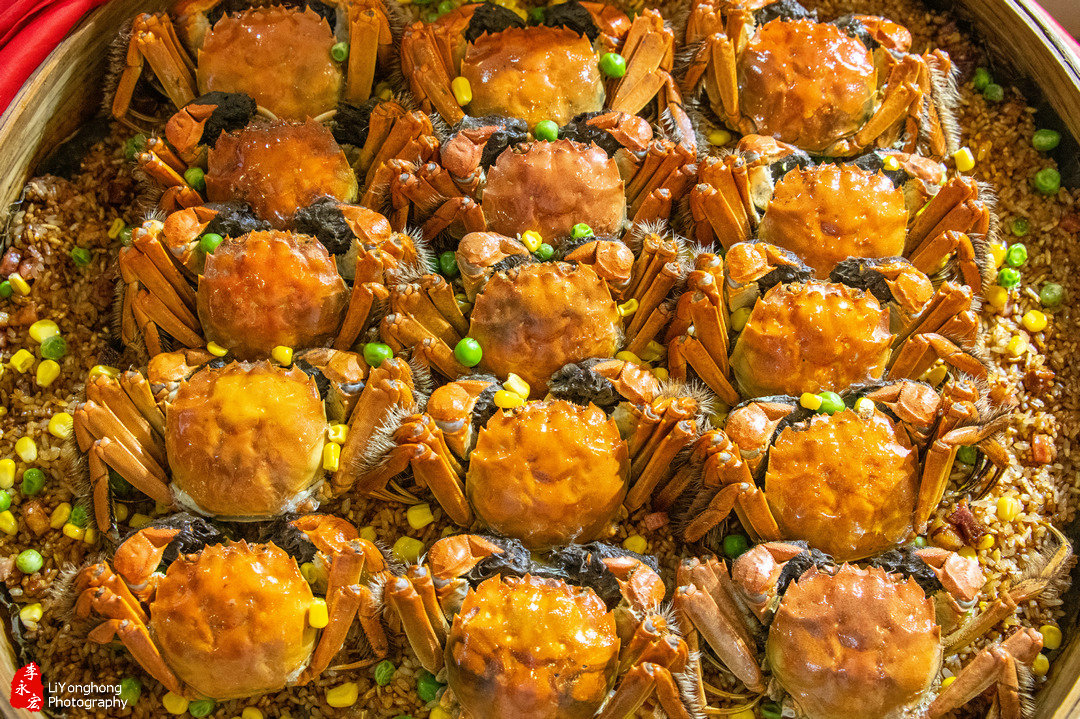 盘锦赵圈河镇河蟹,蟹园盘锦河蟹