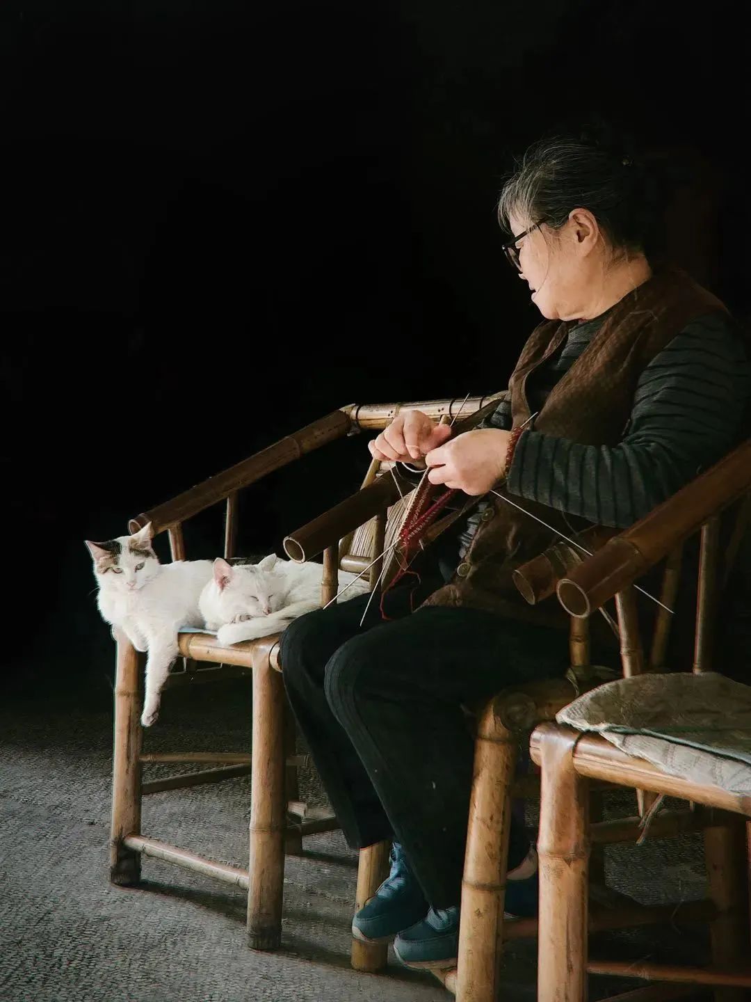 大家用手机拍出过什么好看的照片,赞别人的照片拍摄得好的句子