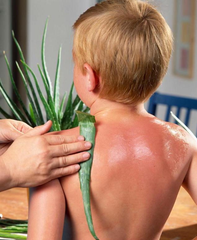 真正有效的芦荟胶,安全好用的芦荟胶