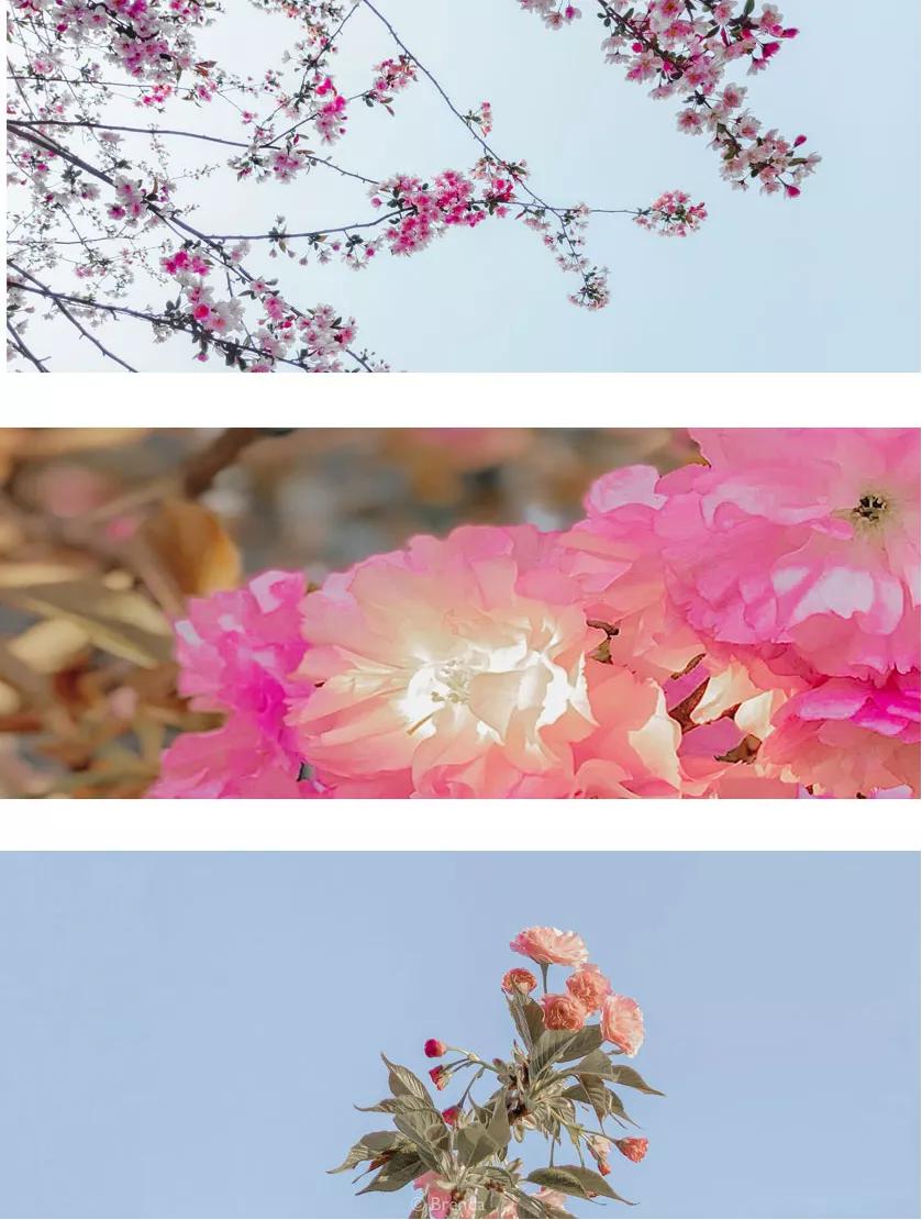 安徽省高校合肥理工,安徽省二类本科公办大学