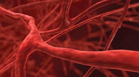 白癜风是表层还是下层,白癜风是细胞病变吗