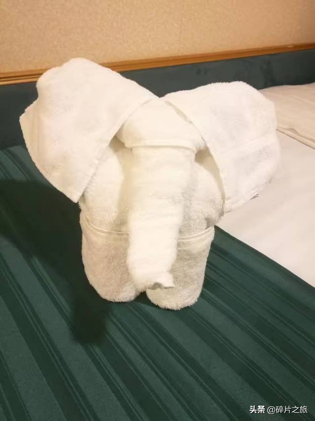 乘风破浪的姐们-上海日本豪华游轮六天五夜游攻略