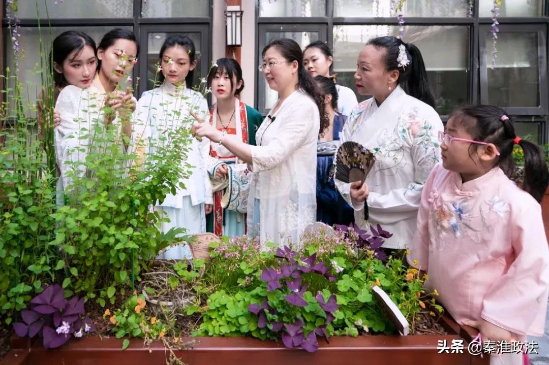 “转角遇见·百草园”为秦淮中医院输入创新发展正能量