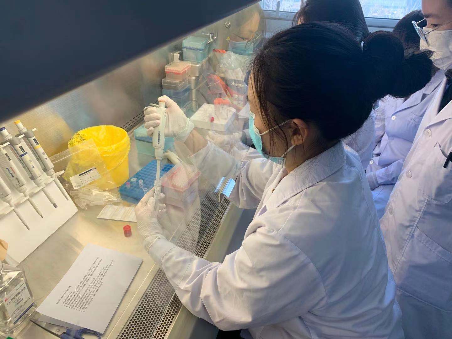 海关查获珍贵多肉植物,海关截获美国液体包裹