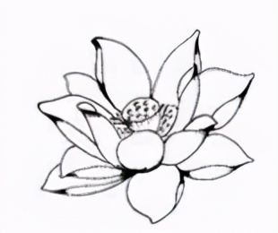 佛教论坛大会新闻发布会,广西佛教会议