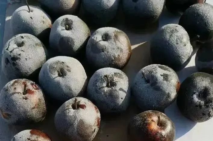 东北街上的冰糖大蒜,都卖给谁了?