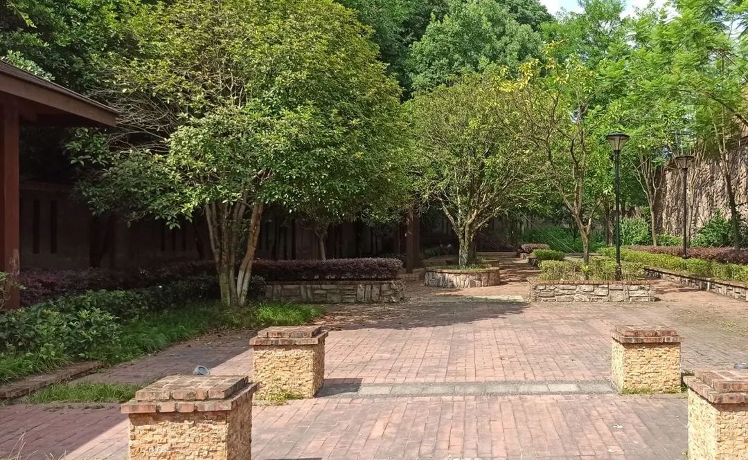 被56万压垮,重庆力帆帝国即将破产?昔日超级豪宅沦为鬼楼?