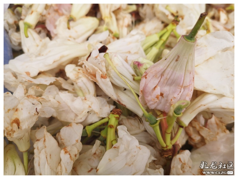 昆明大墨雨村攻略,昆明团结镇大墨雨村一日游