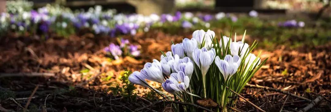 风水轮流转上热门,风水轮流转不管用