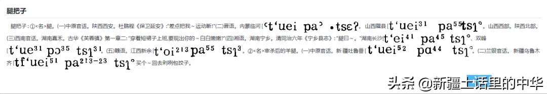 精肚子，精尻子，精脚片子、䯋膝盖子、脚把骨、尻蛋子