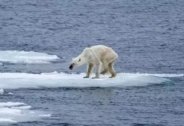 2019年地球进入小冰期,地球是大灾大难还是地球末日
