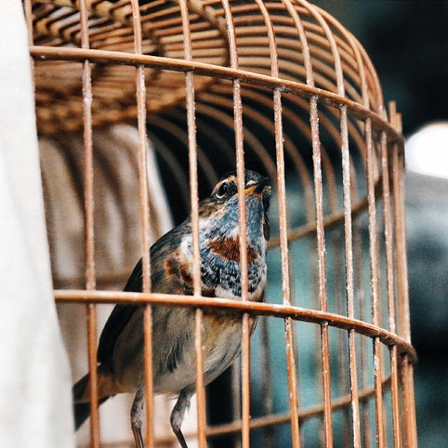 后期对焦错误怎么解决,后期修复对焦的问题