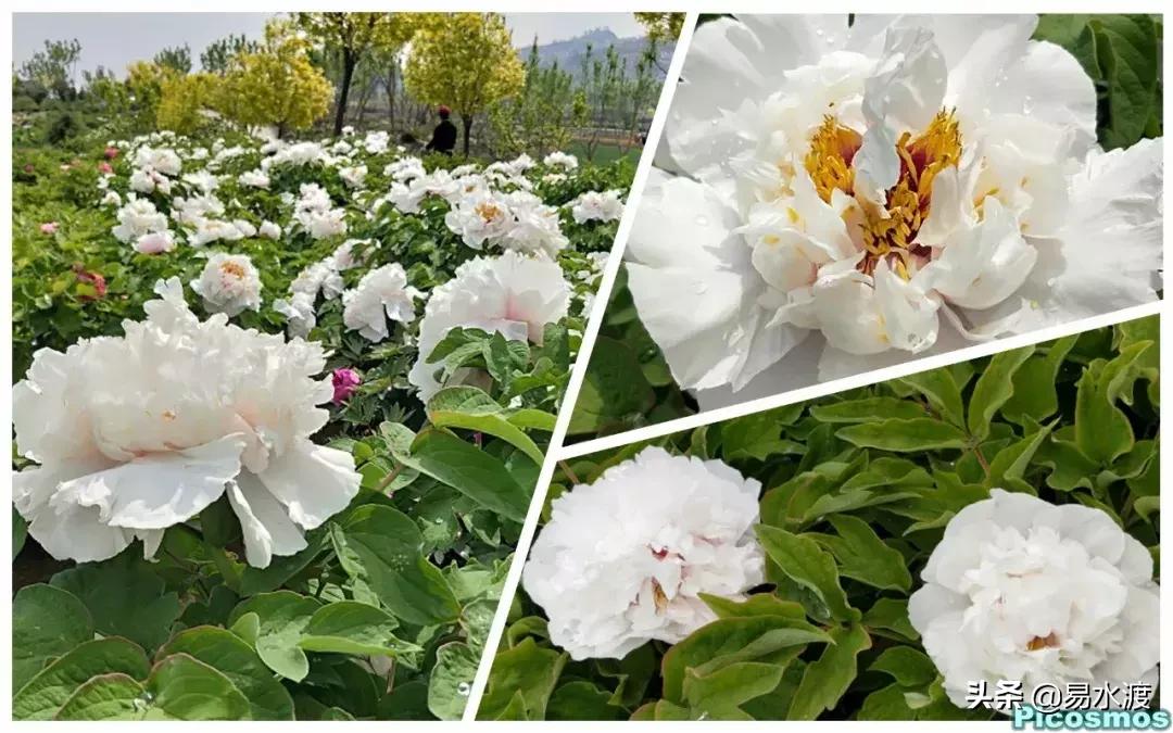 易县好玩,易县谢村文化广场五一