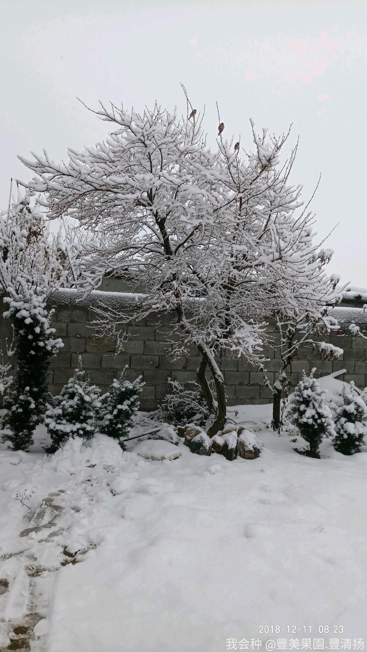 诗和远方在身边完整版,诗和远方在身边