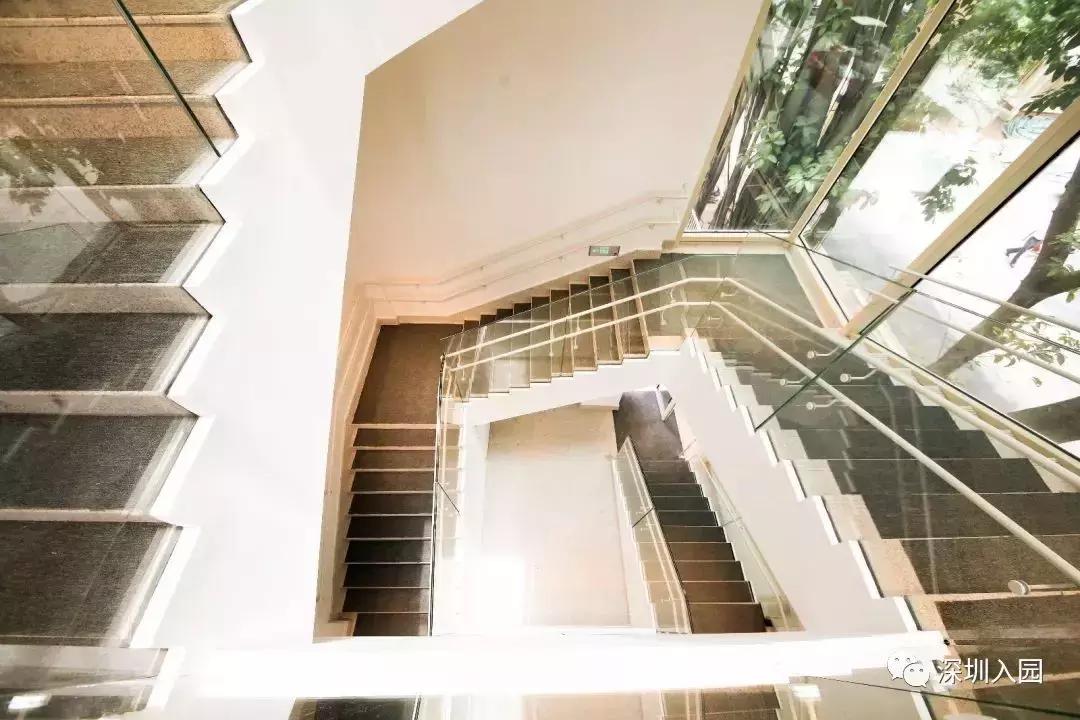 年薪50万以下不要上的幼儿园,深圳公立幼儿园有小小班吗