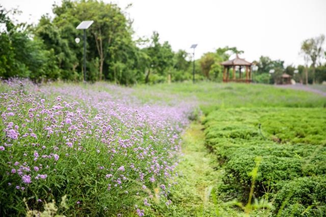 南浔古镇传统手工,十二道工序纯手工制作而成