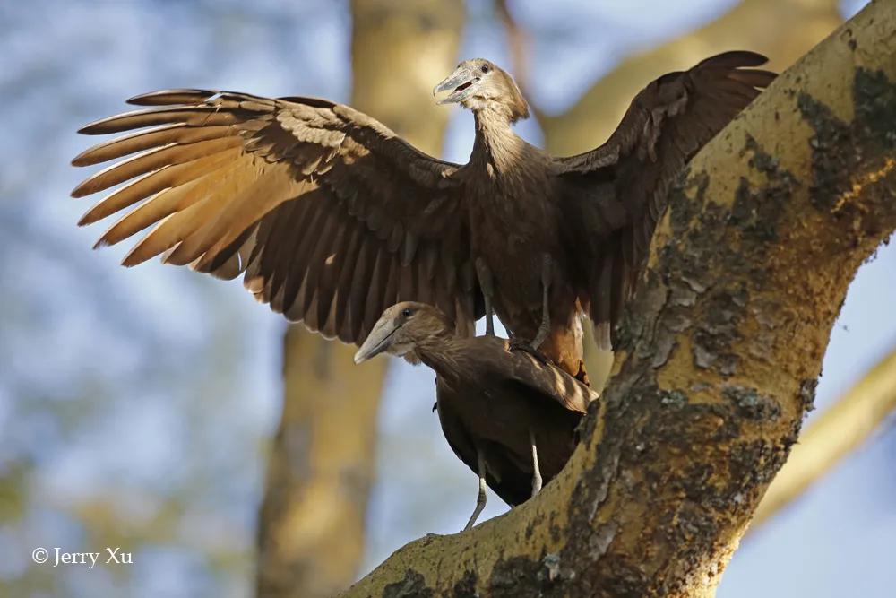 情人节适合干什么事,情人节对方做过最让你感动的事