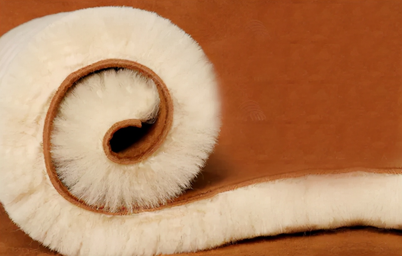 舒服保暖防滑的雪地靴,冬天穿什么样的雪地靴最保暖呢