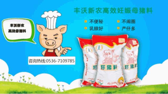 农业农村部今日猪价,农业农村部猪价最新发布的消息