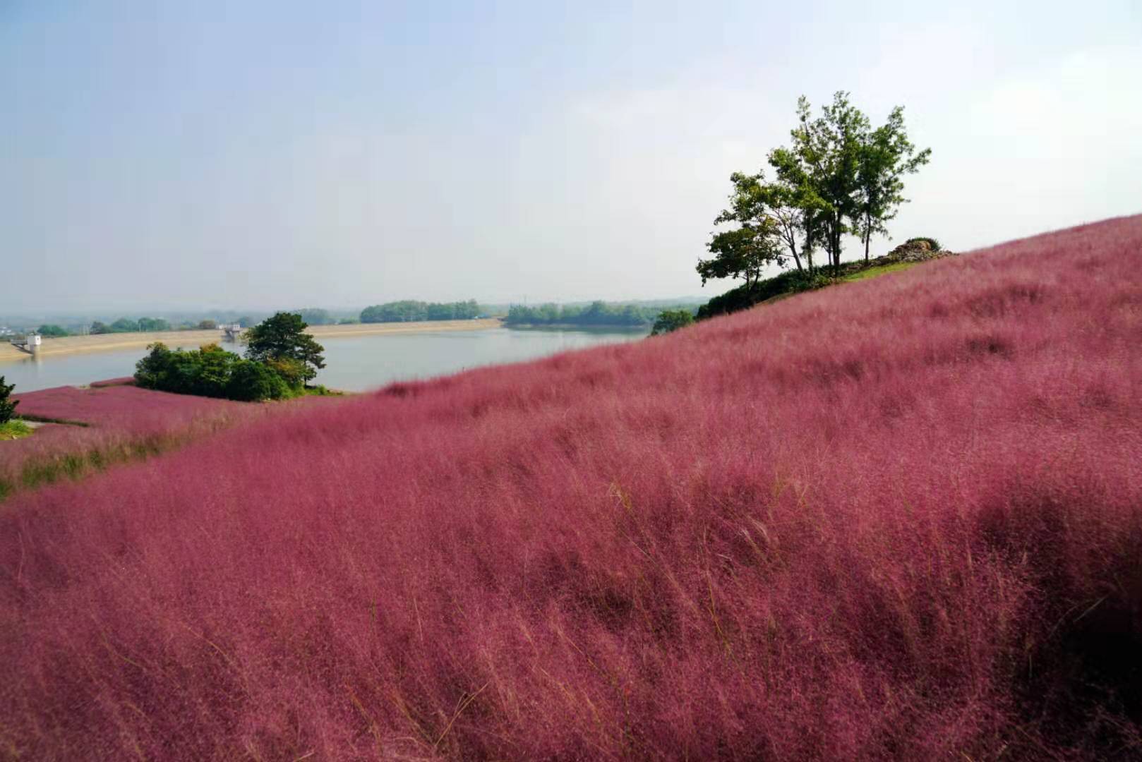 这些字您认识几个,这些字你能认识几个