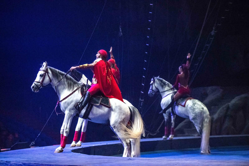 广州长隆野生动物世界旅游攻略,长隆野生动物世界攻略2-3天广州游