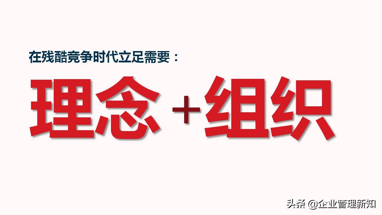 企业组织架构图设计全套,企业组织架构搭建及流程