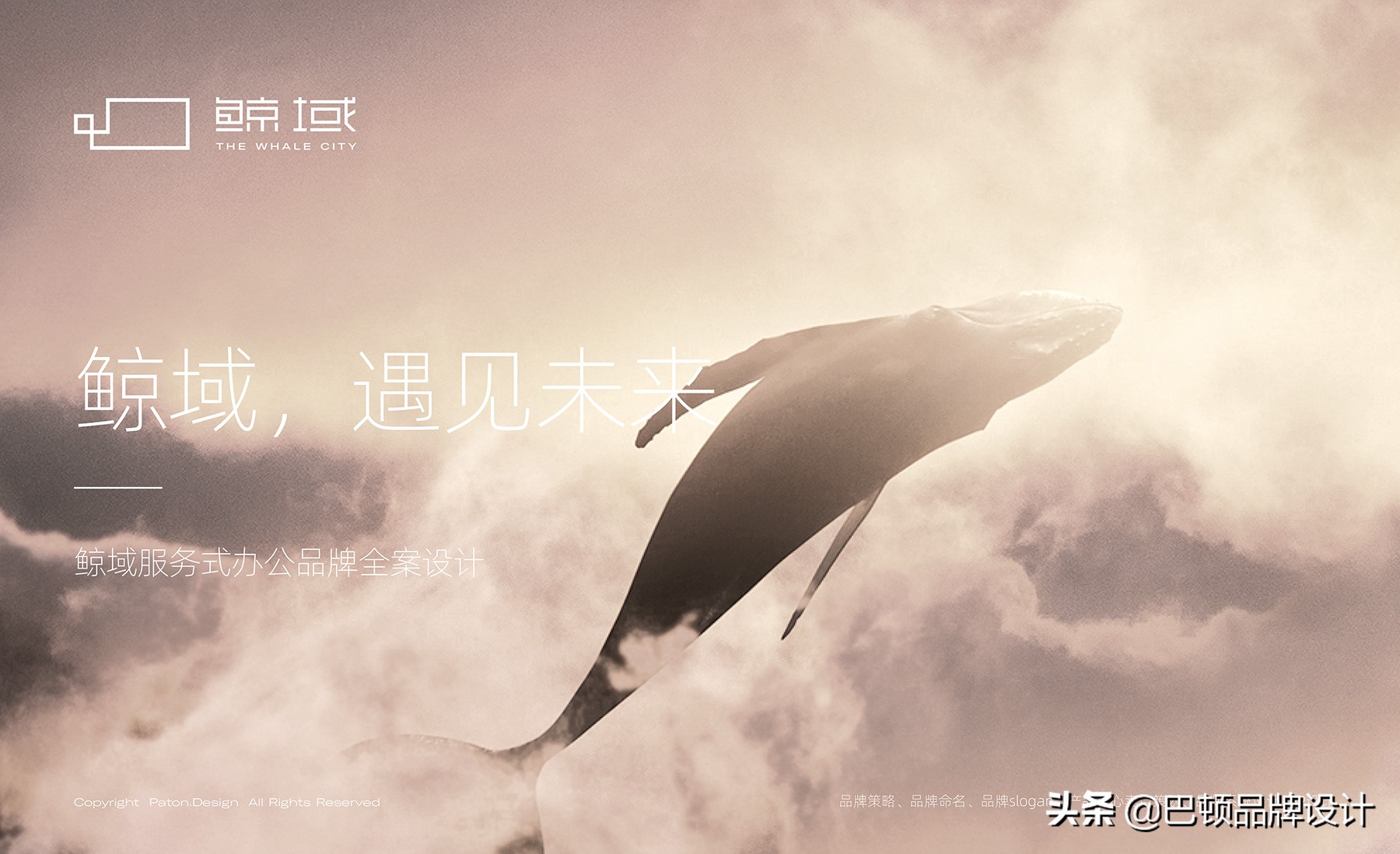 品牌战略咨询哪个公司最好,品牌战略咨询机构哪家好