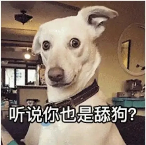 yyds网络语怎么念,yyds网络用语意思