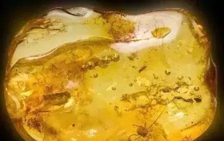 压制琥珀中的气泡是圆的吗,高温压制琥珀是真的吗