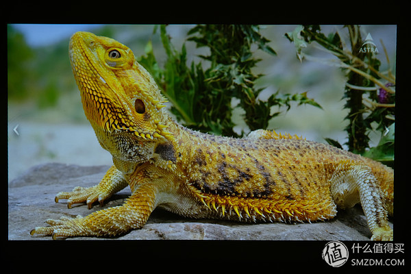 微鲸投影仪k1和e2plus的区别,微鲸投影仪k1和k1plus区别