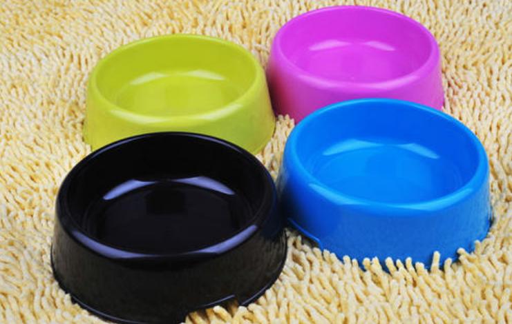 狗狗不爱喝水用什么办法解决,狗狗不爱喝水怎么办呢