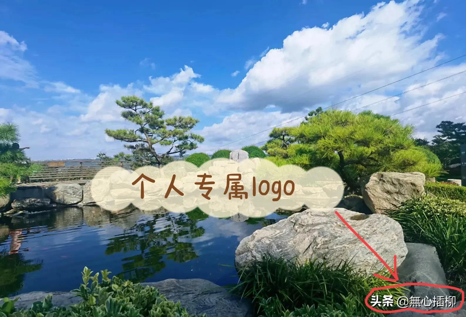 iphone视频怎么添加水印logo,ps怎么把自己的logo水印在图片上