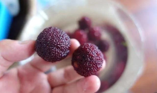 水果吃多了舌头刺痛怎样解决,吃什么水果舌头会又疼又麻