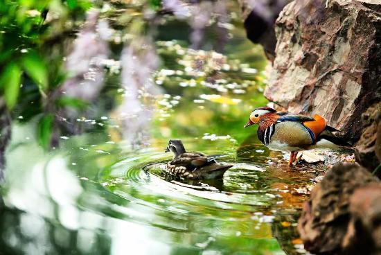 今日立夏，转这些诗词，可以让你在朋友圈脱颖而出！